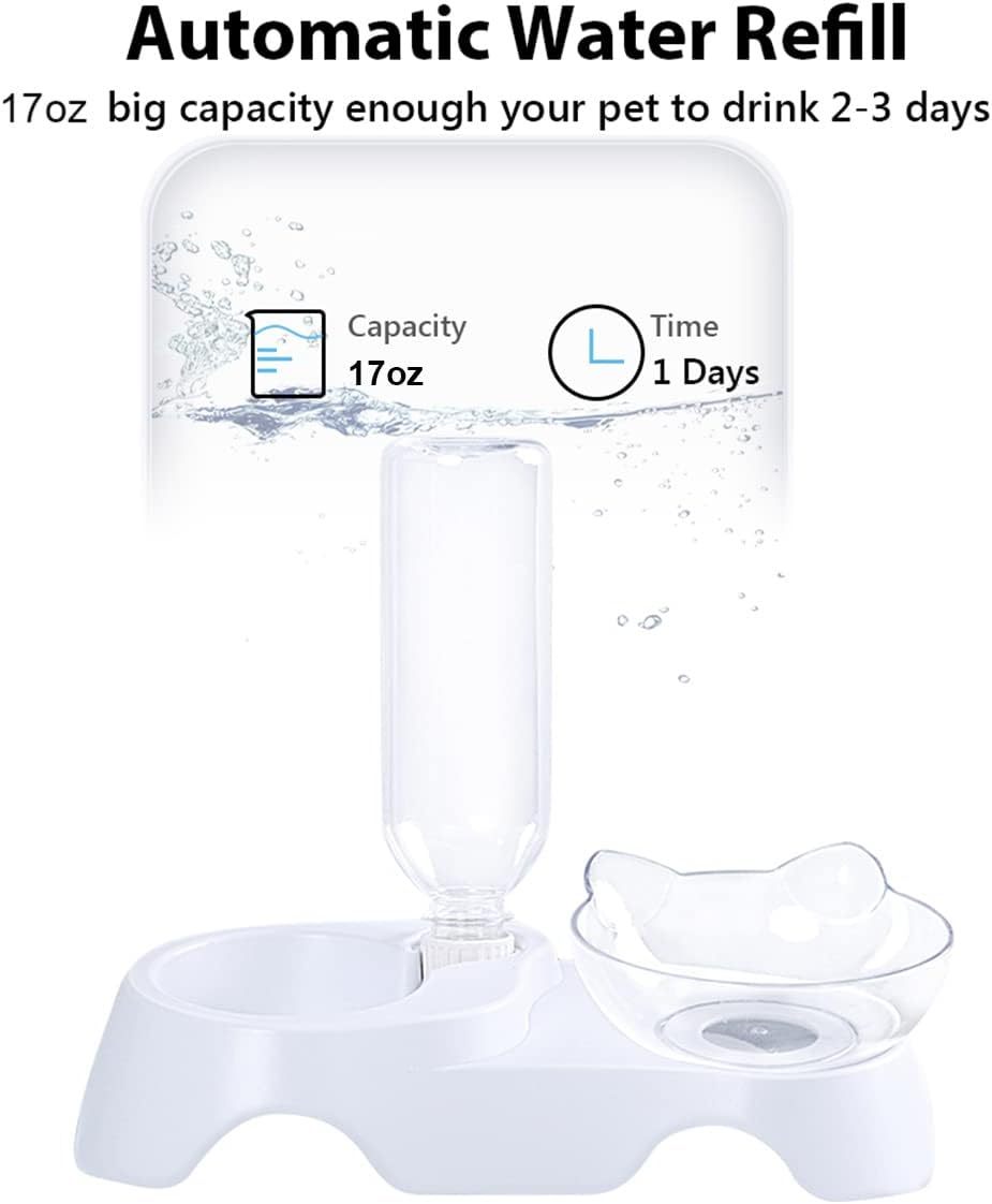 Double Dog Cat Bowls Pets Water And Food Bowl Set 15 Tilted Water And Food Bowl Set With Automatic Waterer Bottle For Small Or Medium Size Dogs Cats