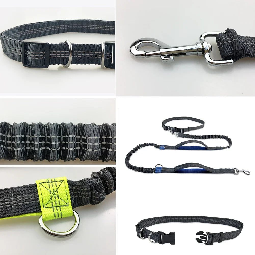 both running elastic for outdoor dogs this reflective enthusiasts, high-visibility belt is pet leash for dura Perfect hands-free