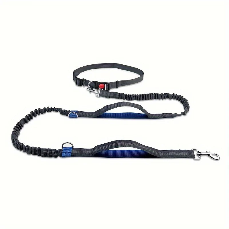 both running elastic for outdoor dogs this reflective enthusiasts, high-visibility belt is pet leash for dura Perfect hands-free