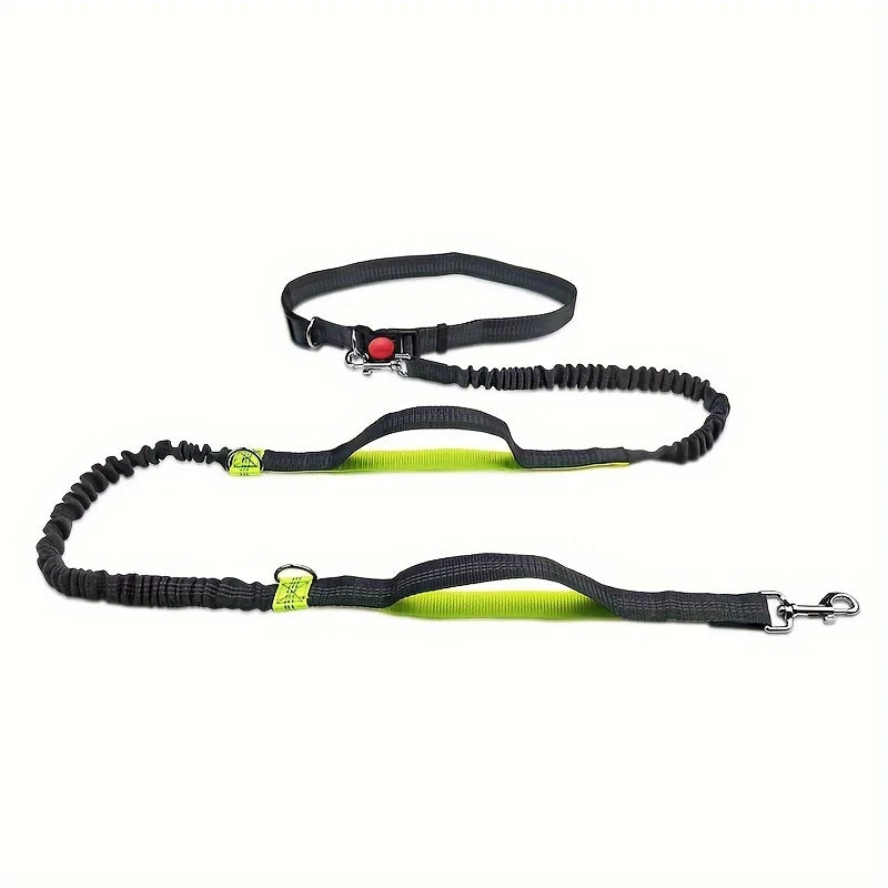 both running elastic for outdoor dogs this reflective enthusiasts, high-visibility belt is pet leash for dura Perfect hands-free