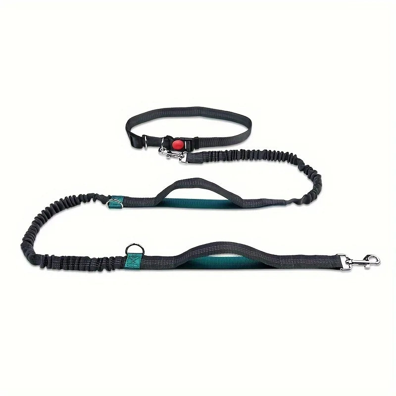 both running elastic for outdoor dogs this reflective enthusiasts, high-visibility belt is pet leash for dura Perfect hands-free