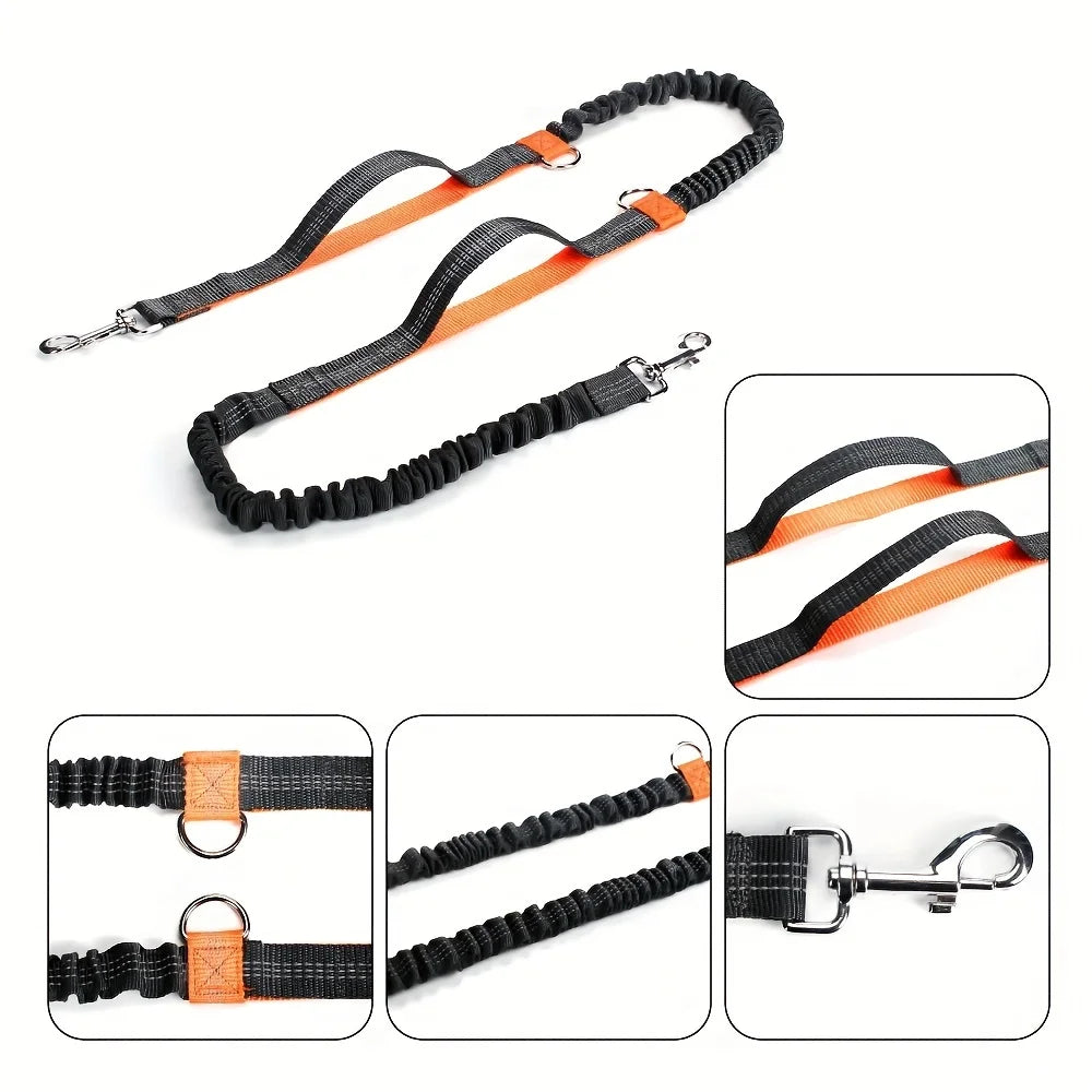 both running elastic for outdoor dogs this reflective enthusiasts, high-visibility belt is pet leash for dura Perfect hands-free