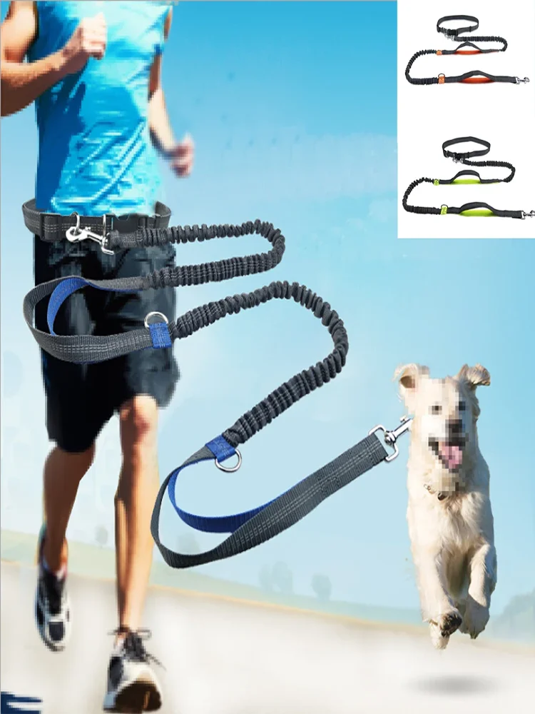 both running elastic for outdoor dogs this reflective enthusiasts, high-visibility belt is pet leash for dura Perfect hands-free