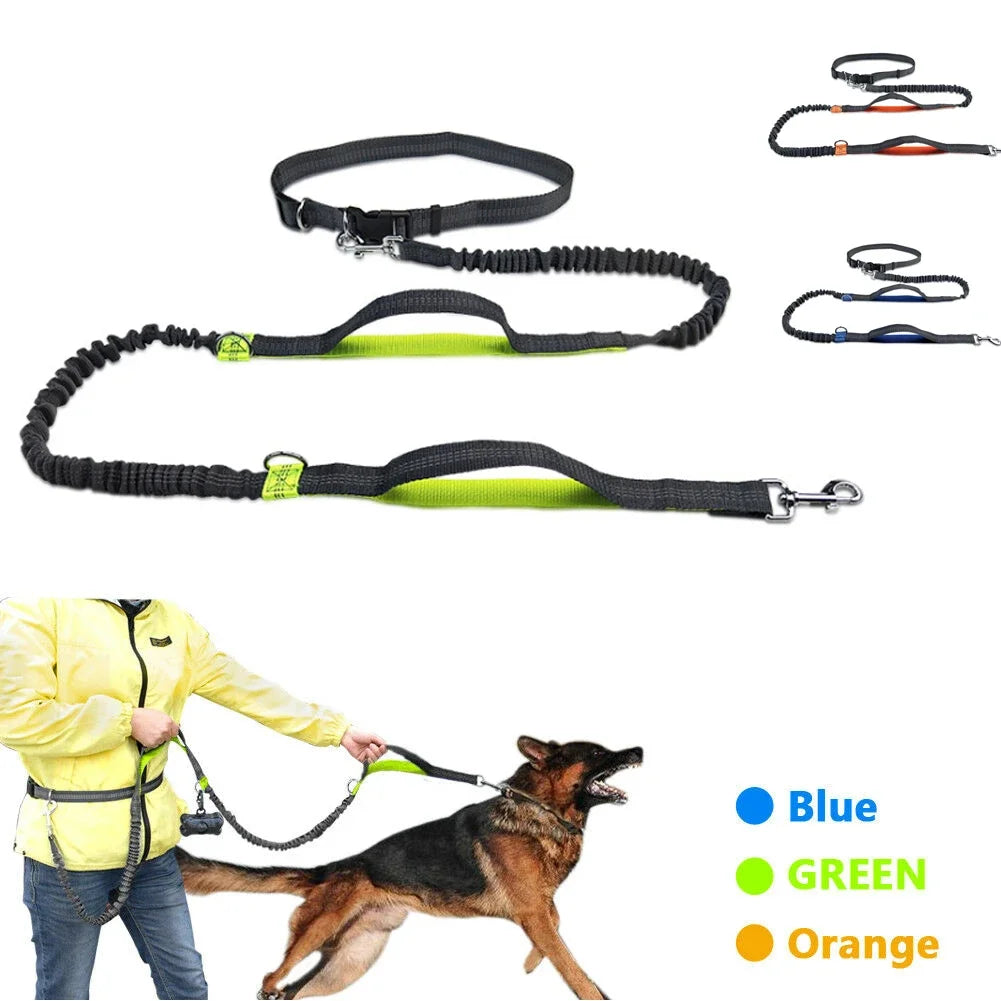 both running elastic for outdoor dogs this reflective enthusiasts, high-visibility belt is pet leash for dura Perfect hands-free