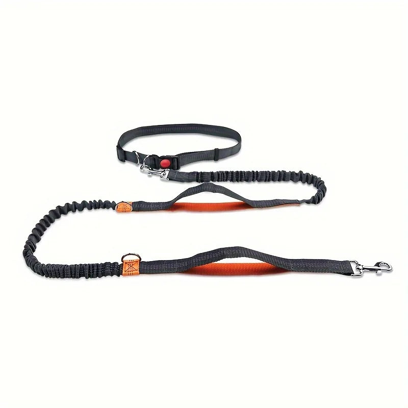 both running elastic for outdoor dogs this reflective enthusiasts, high-visibility belt is pet leash for dura Perfect hands-free